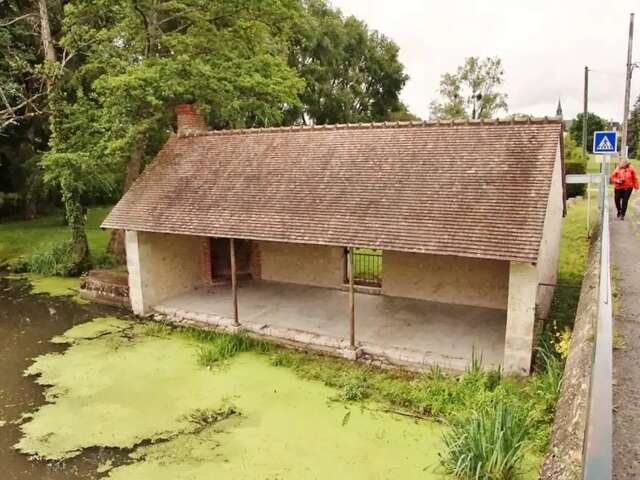 Entre forêt et Beuvron de Seur