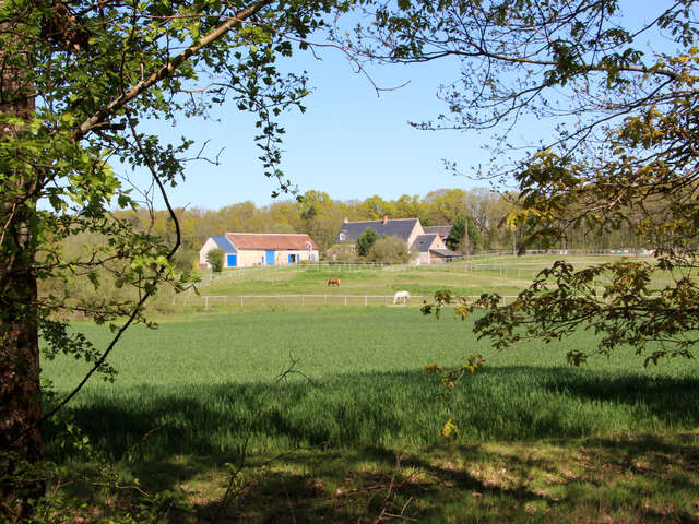 La Cisse et la plaine de Coulanges