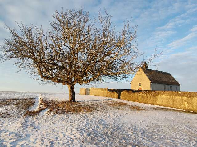 Les petits secrets d'une église rurale