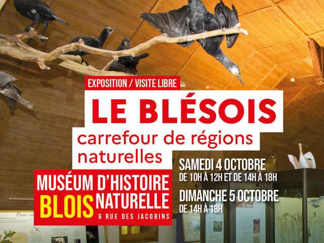 Fête de la Science 2025 : Visite libre de l'exposition "Le Blésois, carrefour de régions naturelles"