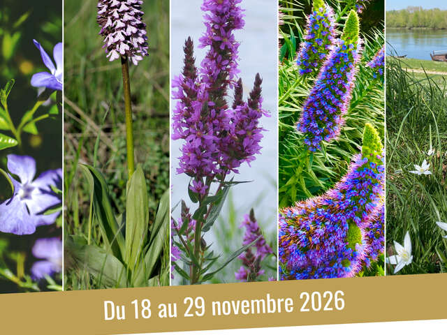 Expostion plantes sauvages de nos villages