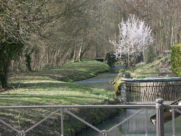 Le moulin de la Fontaine de Saint-Bohaire