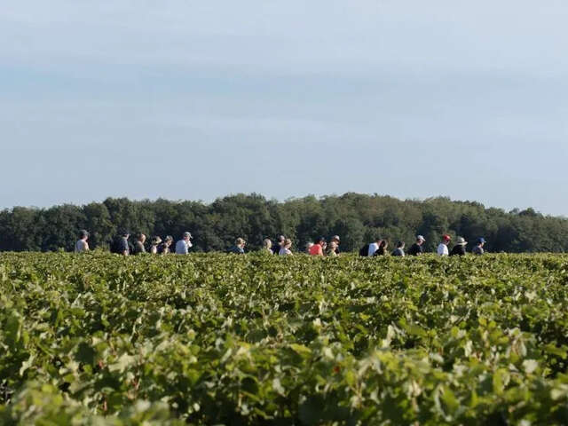 Échappées en Loire