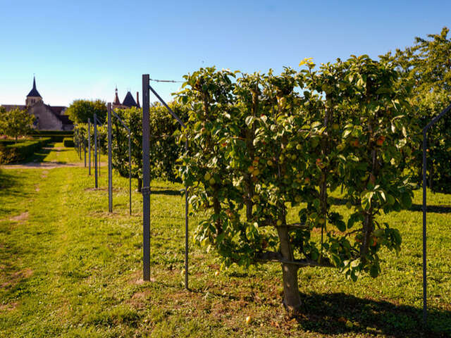 Visite guidée des jardins du château de Talcy