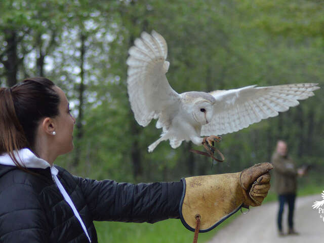 Mon Perroquet et Cie