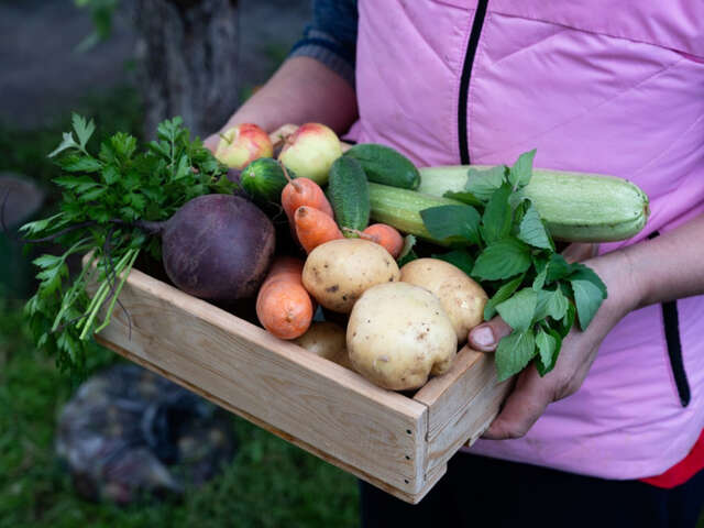 Événement Nature & Vous - Manger malin : Au rythme des saisons