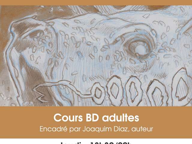 Cours BD adultes