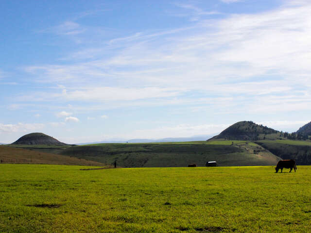CHAM DES BONDONS