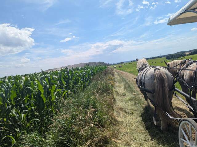 Les Calèches de l'Aunette