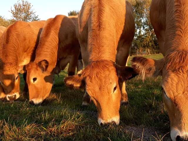 Porte Ouverte à la ferme de Lartois
