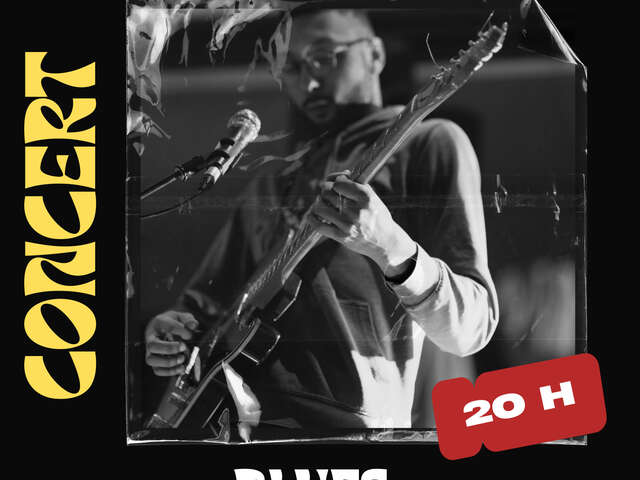 Concert BLUES BRAKER