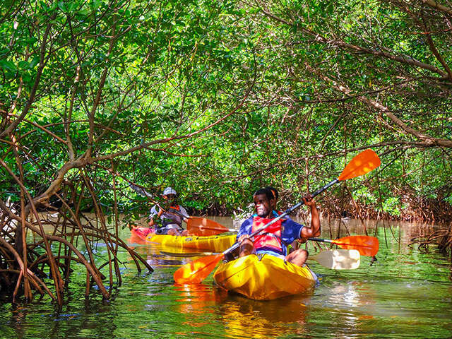 Madinina Kayak Tripping