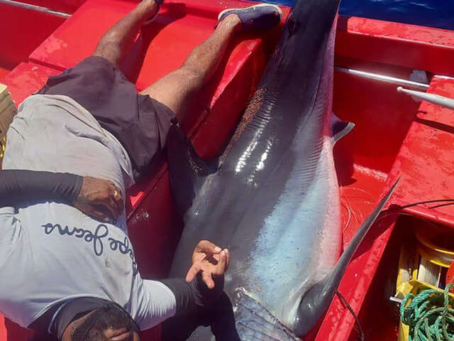 K’ptain Ariel - Pêche en mer