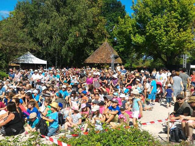 Festival des arts de la rue - L'Écho du caquetoire