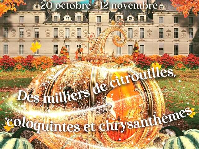 automne magique au Château de Cheverny