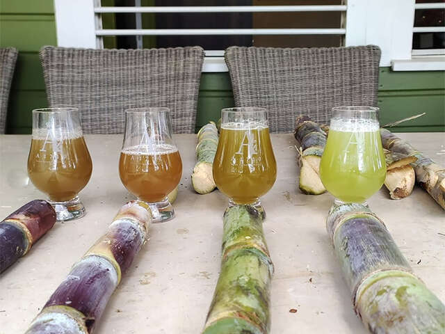 L'atelier du Cannier (Distillerie A1710)