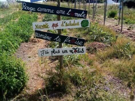 Créer un refuge pour la biodiversité dans votre jardin - Partage Vert