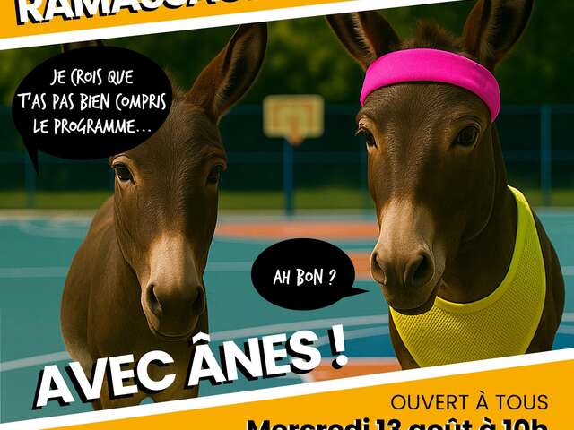 Balade écoresponsable avec des ânes