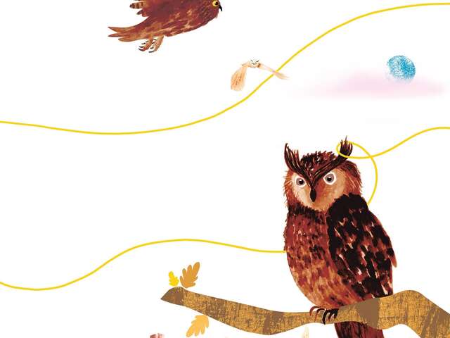 Atelier créatif autour de l'album « Suis du doigt la chouette »