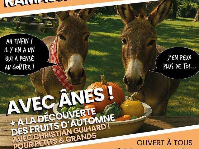 Éco-balade avec des ânes