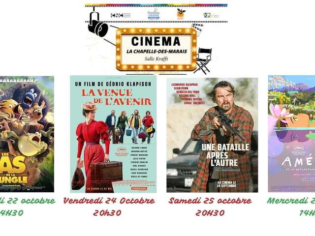 Les films projetés par Cinémarais
