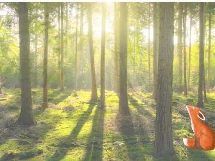 Matinée contée 3-6 ans