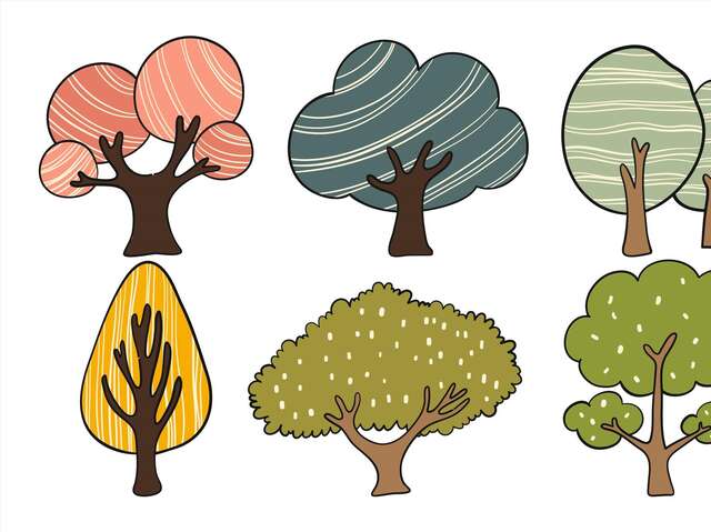 Sortie nature « Arbres-Mondes »