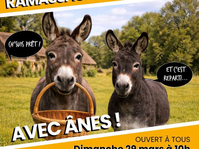 Éco-balade avec des ânes