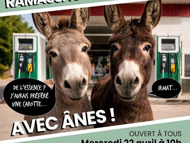 Éco-balade avec des ânes