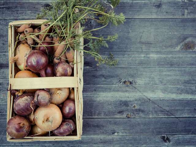 Le potager de Wasseiges