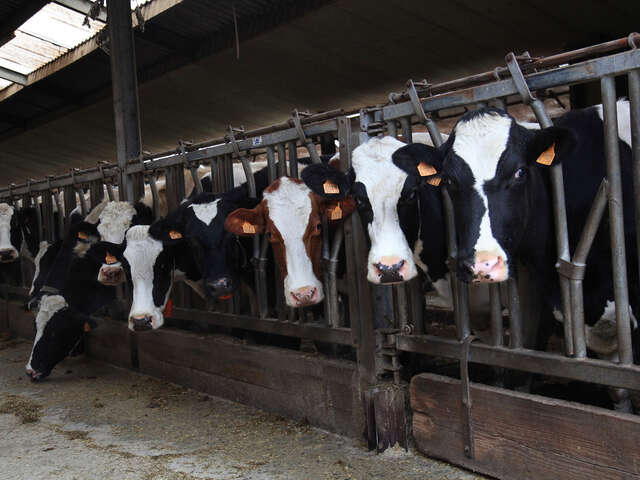 La Ferme de la Vacheresse