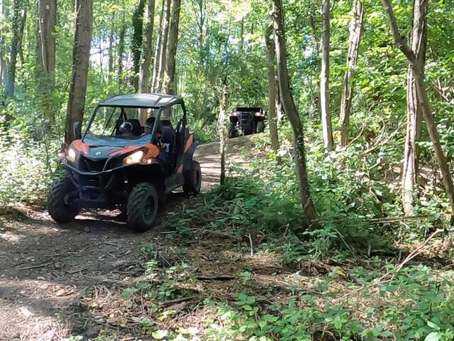 Buggy Nature