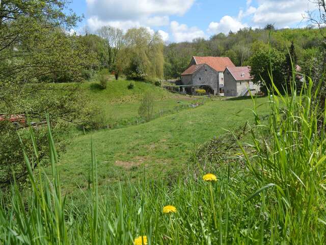 Moulin Ferrières - Héron