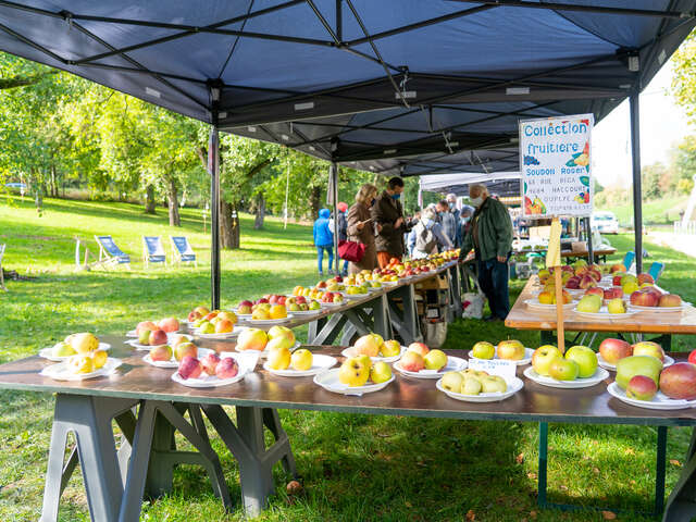 Fêtes des pommes