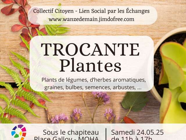 Trocante de plantes & objets Halloween