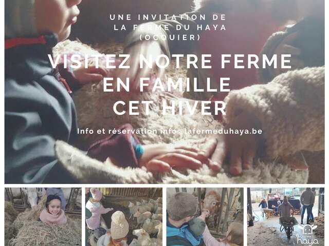 Visites familiales de la ferme du Haya