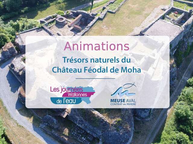 Trésors naturels du Château Féodal de Moha