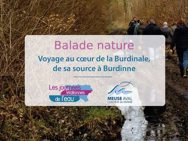 Voyage au coeur de la Burdinale, de sa source à Burdinne