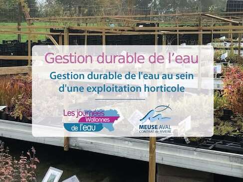 Gestion durable de l’eau au sein d’une exploitation horticole