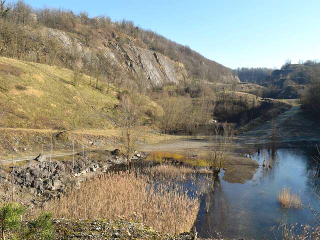 Balade nature dans la réserve naturelle de la carrière d'Ampsin