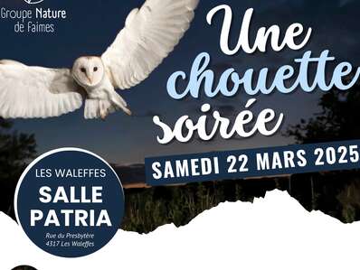 Les rapaces nocturnes : conférence et balade