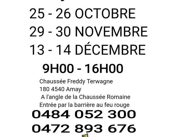 Brocante de Flône