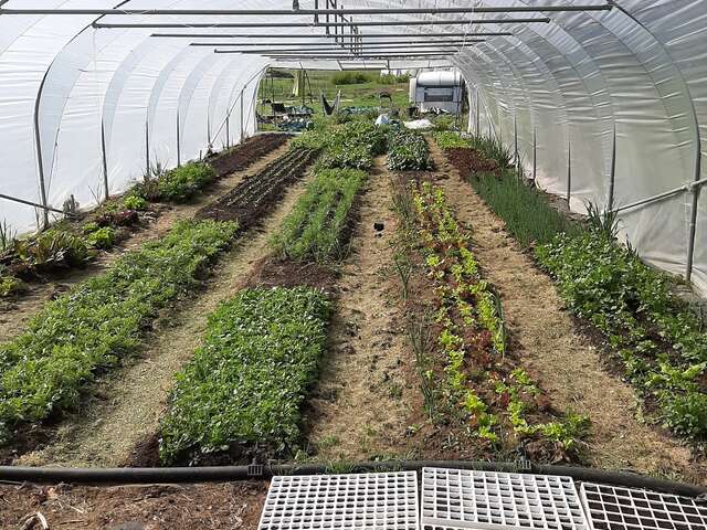Le potager de Wasseiges