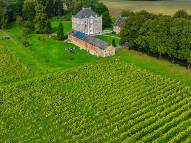 Portes ouvertes au Vignoble des Templiers
