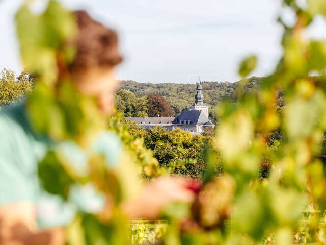 Visite et dégustation ouverte au public au Château de Fumal