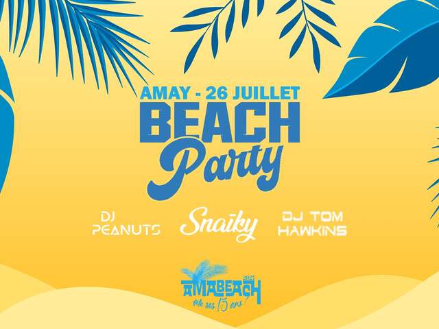 15 ans des Beach Days d'Amay