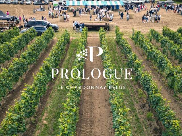 Journée Vignes Ouvertes - Prologue
