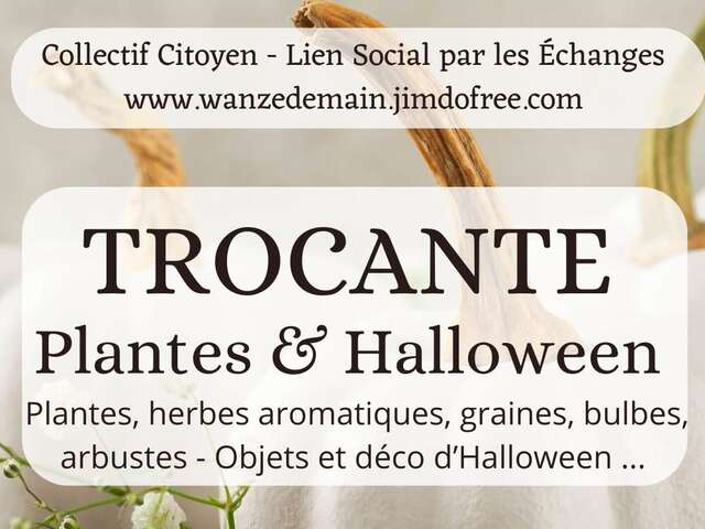 Trocante de plantes et d'objets d’Halloween