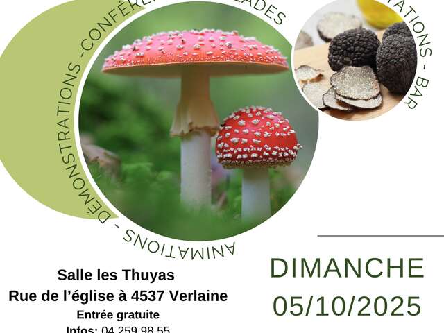 Exposition champignons des bois