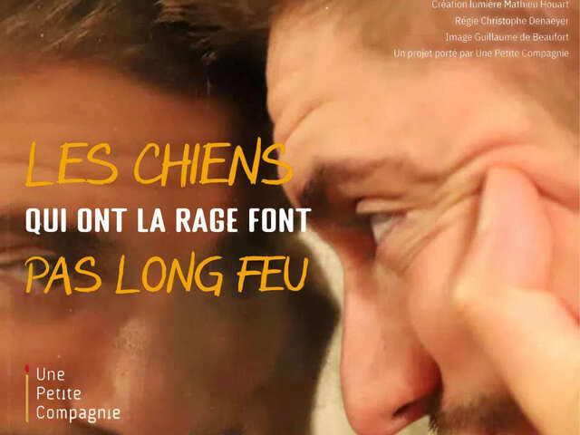 Les chiens qui ont la rage ne font pas long feu
